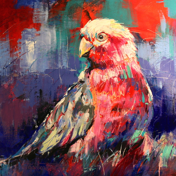 Galah
